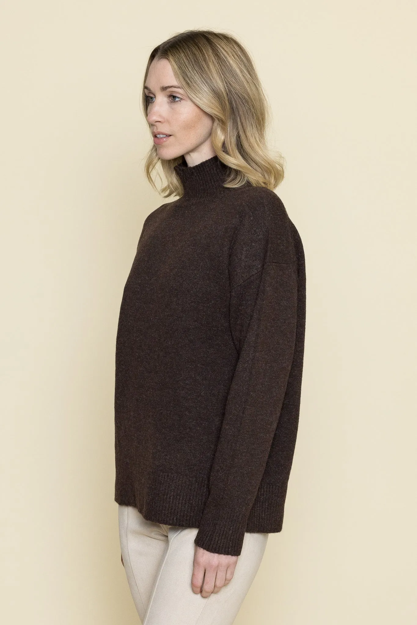 Effy Chunky Turtleneck Sweater