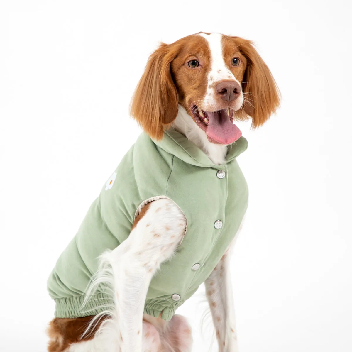 Korean Design Daisy Puffer Jacket